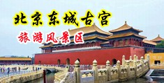女人大黑逼操男人鸡巴视频中国北京-东城古宫旅游风景区